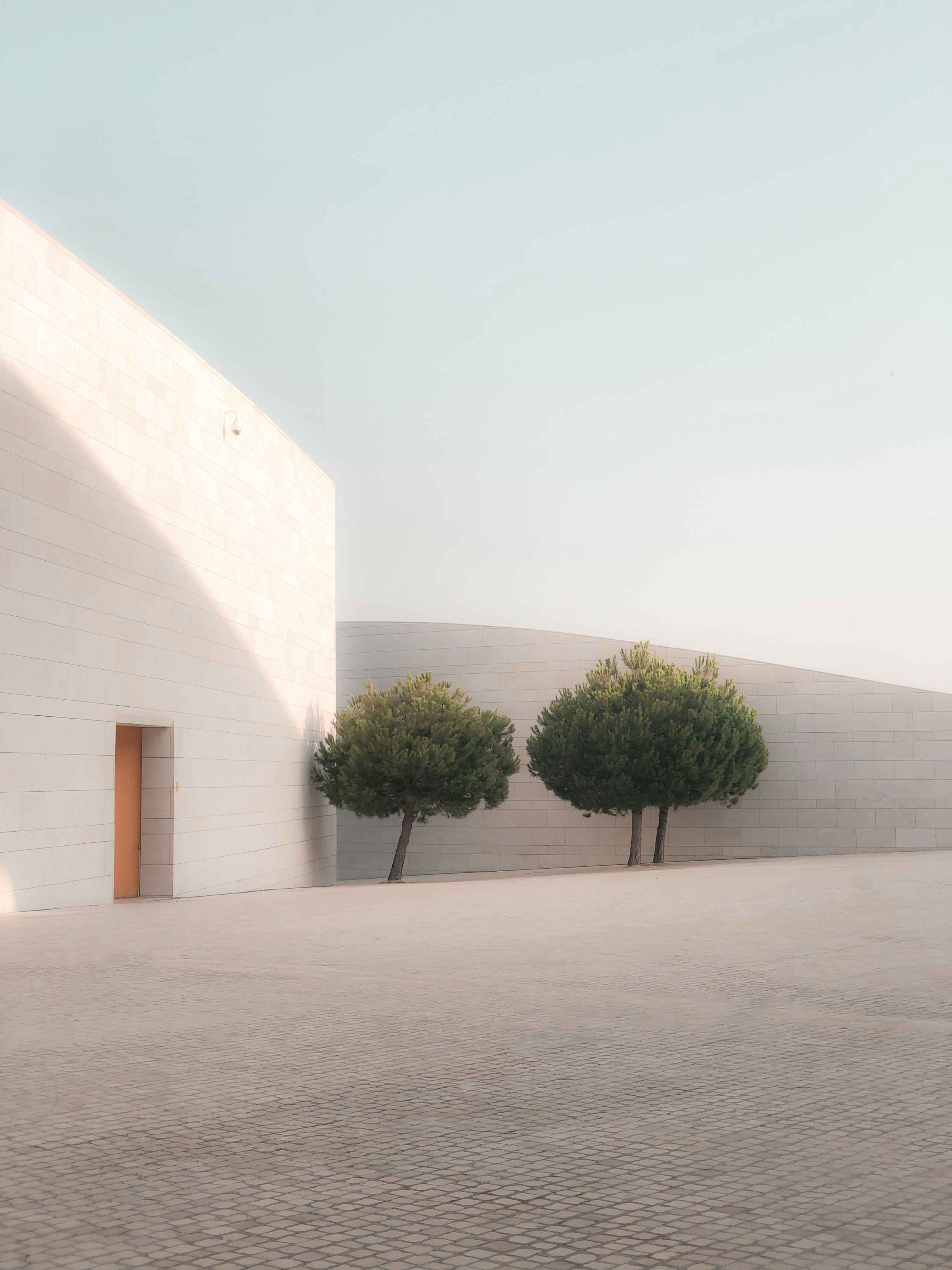 Arquitectura minimalista - detalle 2