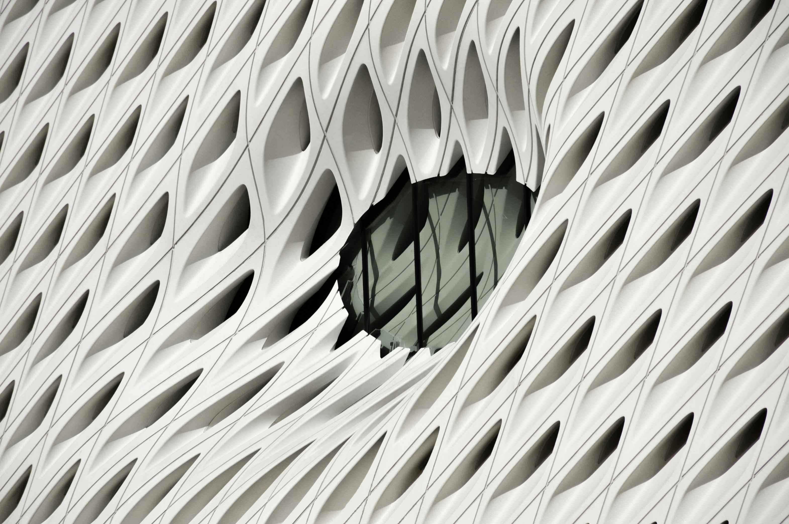 Arquitectura orgánica