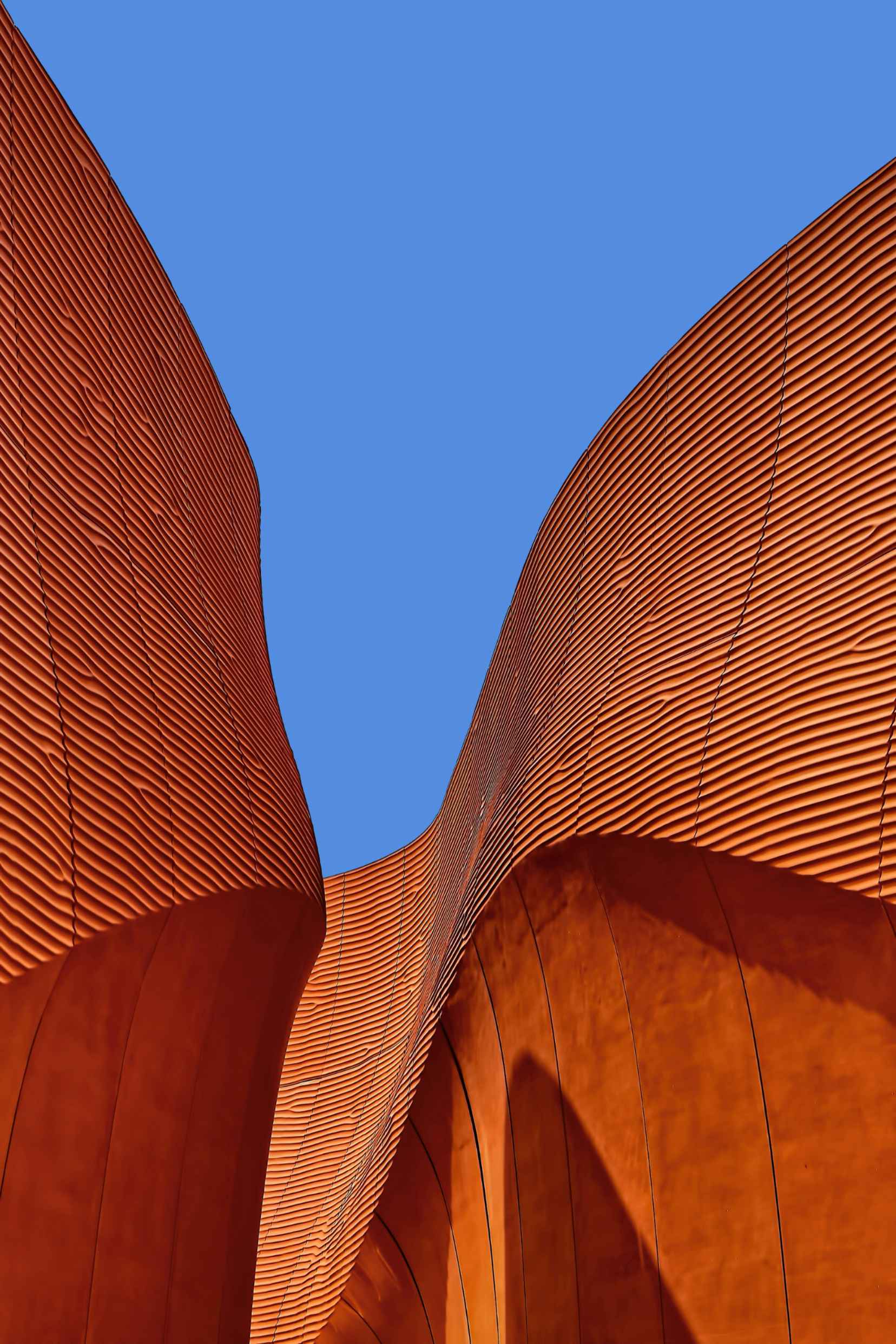 Arquitectura orgánica - detalle 2