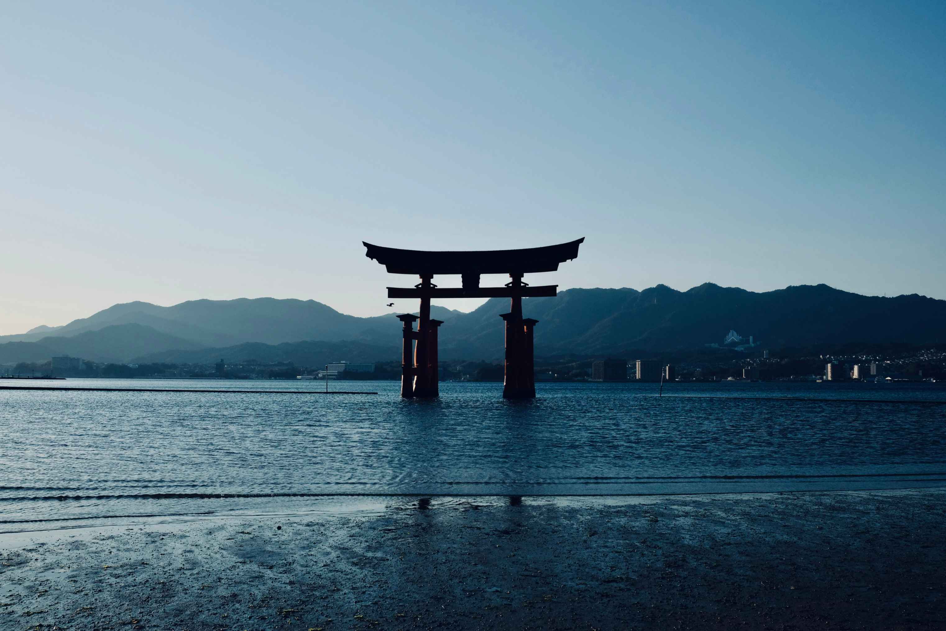 Metabolismo japonés