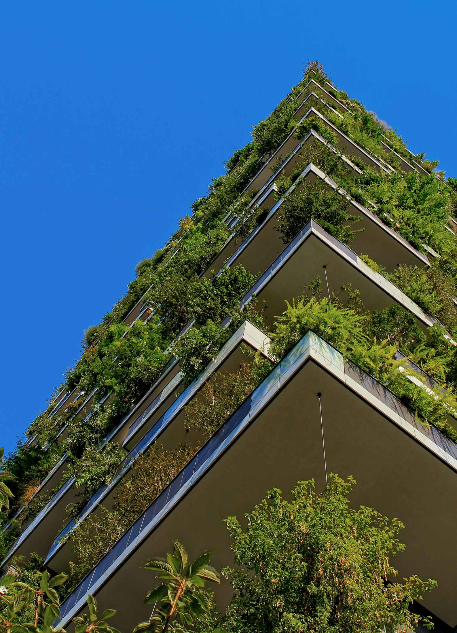 Arquitectura sostenible - detalle 2